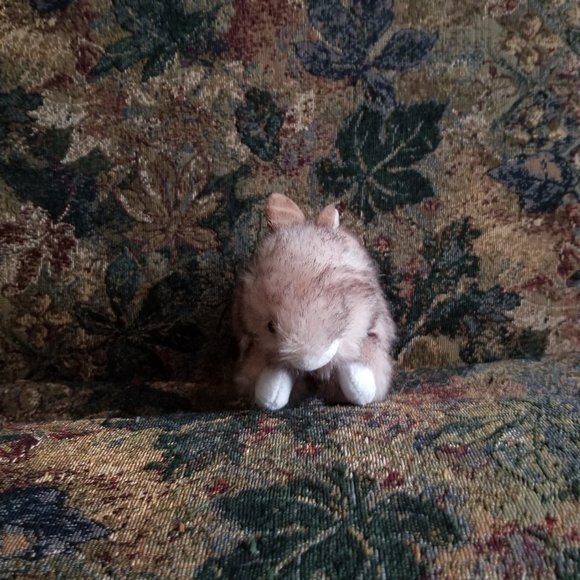 Buster, small rabbit soft, plush, realistic classic toy, Ty, pink-brown - Picture 2 of 8